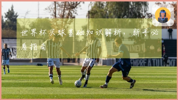 世界杯买球基础知识解析，新手必看指南