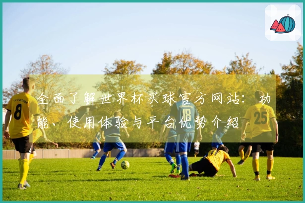 全面了解世界杯买球官方网站：功能、使用体验与平台优势介绍