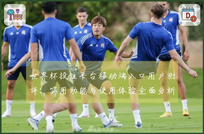 世界杯投注平台移动端入口用户测评:实用功能与使用体验全面分析