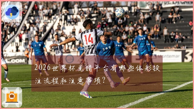 2026世界杯竞猜平台有哪些体彩投注流程和注意事项？