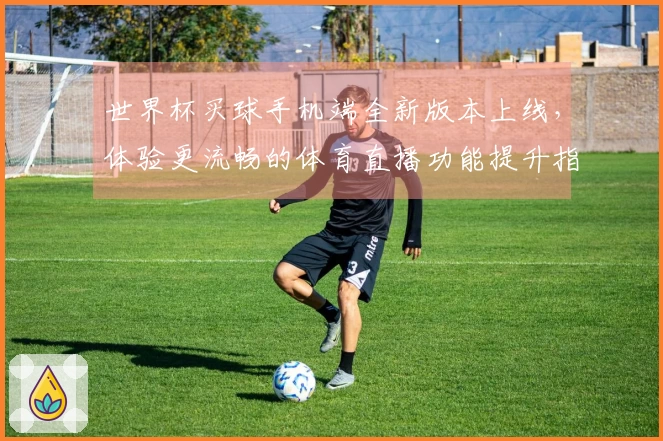 世界杯买球手机端全新版本上线，体验更流畅的体育直播功能提升指南