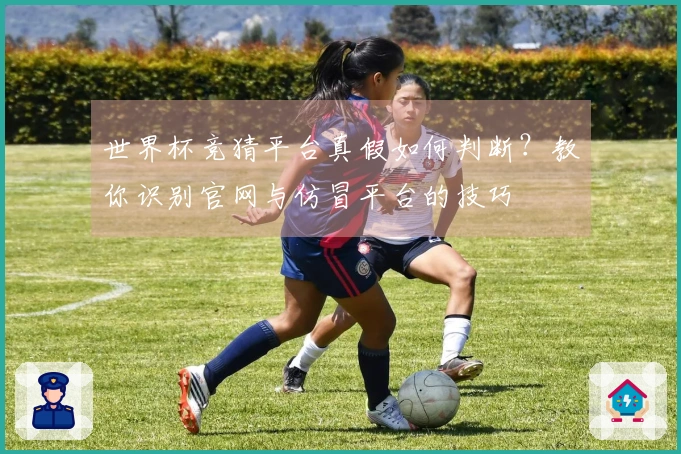 世界杯竞猜平台真假如何判断?教你识别官网与仿冒平台的技巧