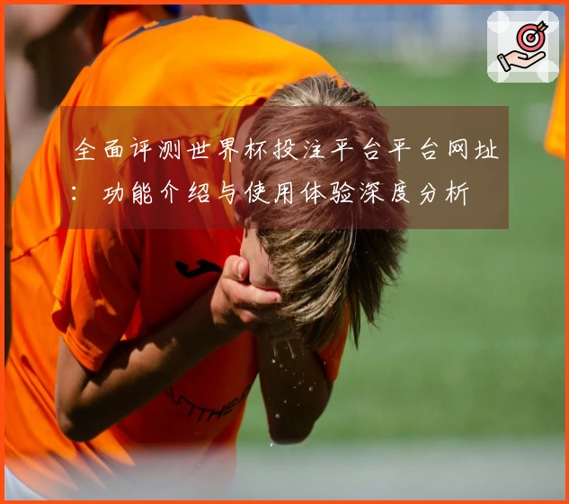 全面评测世界杯投注平台平台网址：功能介绍与使用体验深度分析