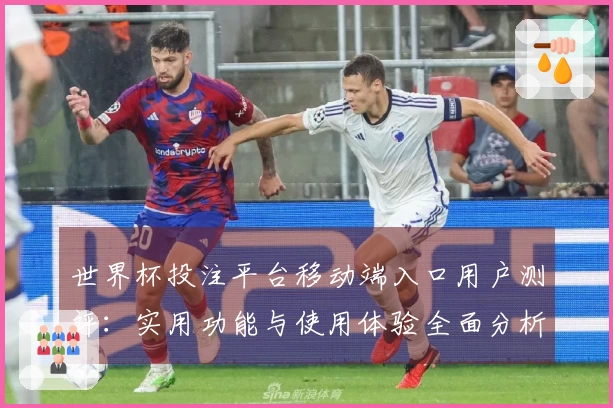 世界杯投注平台移动端入口用户测评：实用功能与使用体验全面分析