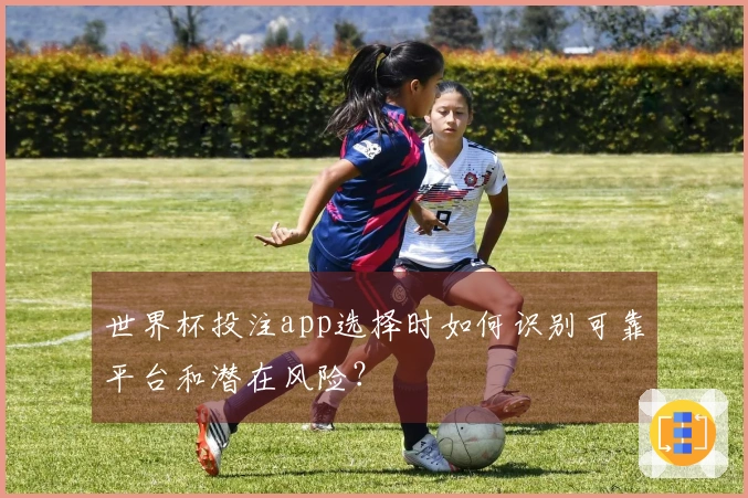 世界杯投注app选择时如何识别可靠平台和潜在风险？